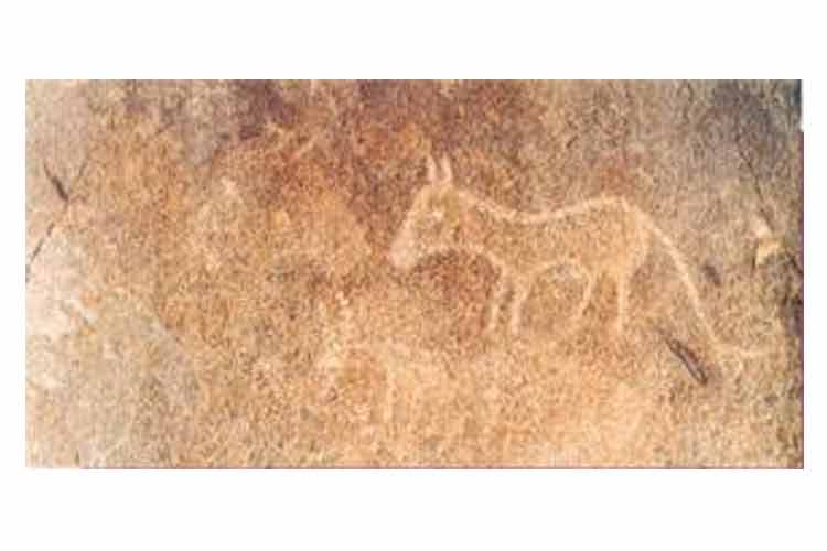 開陽高寨畫馬崖巖畫群