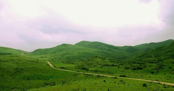 務(wù)川縣栗園草場(chǎng)