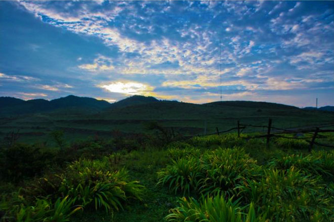 務(wù)川縣栗園草場(chǎng)